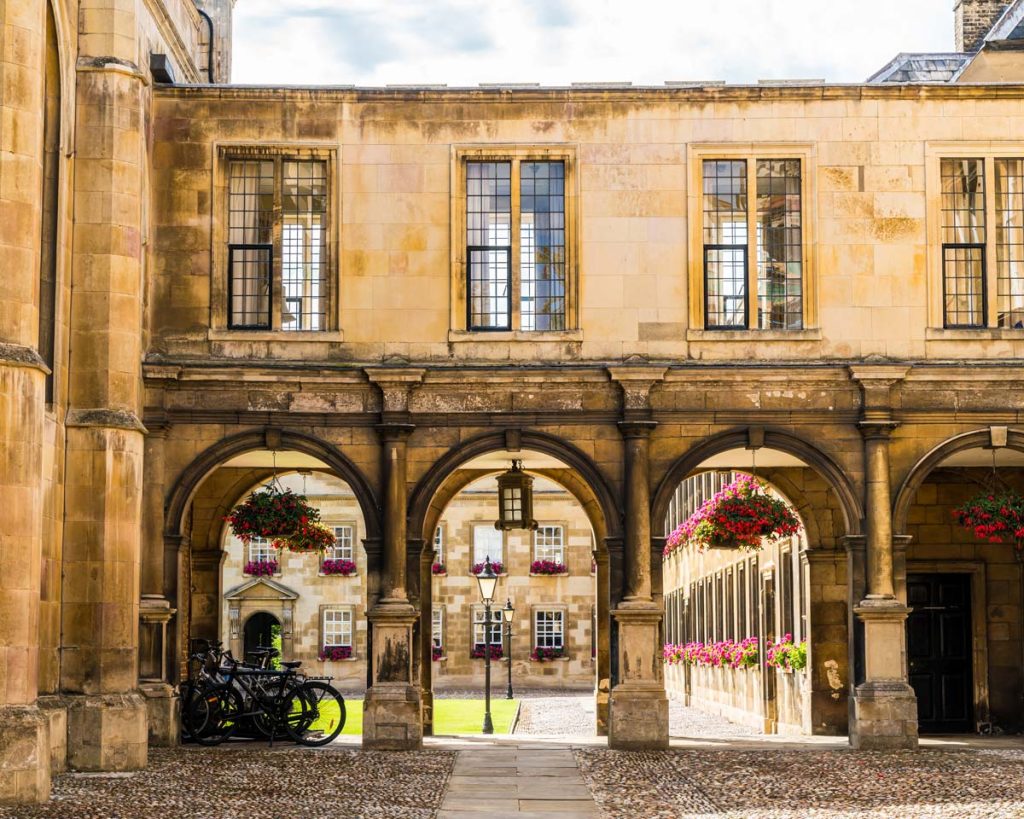 Oxbridge visual data 7